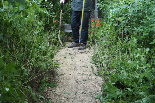 Top Town Path with Cllr Peter Harris